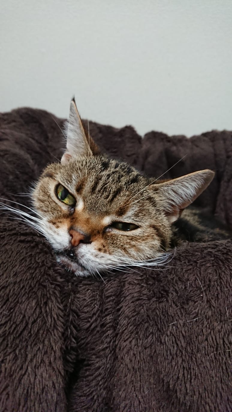 a39a88d6-5e7a-45be-a05b-568a40e12d6b